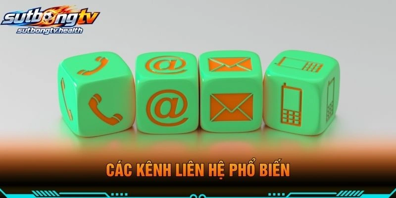 Các Kênh Liên Hệ Phổ Biến