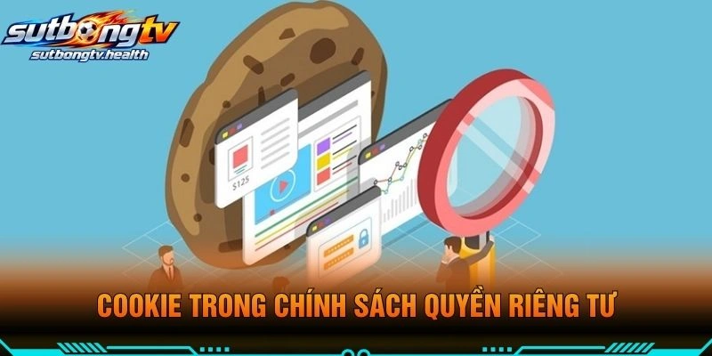 Cookie Trong Chính Sách Quyền Riêng Tư